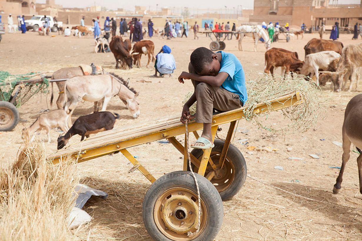 Damage To Land Feeds Migration And Conflict Un Official Braced