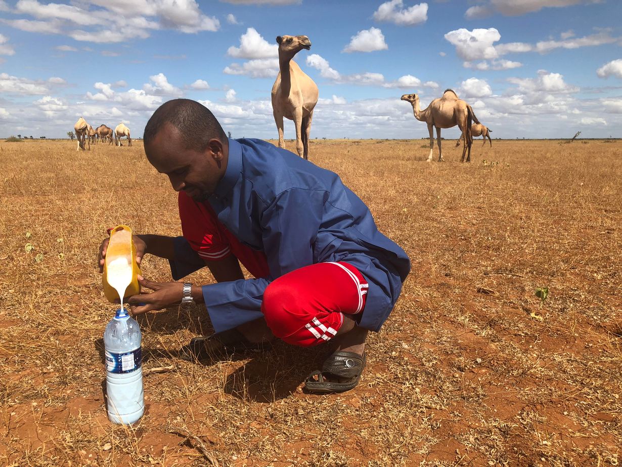 With refrigerated ATMs, camel milk business thrives in Kenya | BRACED